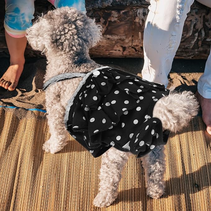 Kisangel Dog Diaper Female Physiological Pants Breathable Fabric and Adjustable Straps, Black L Size, Pet Sanitary Nappies for Female Dogs During Heat Cycle and Incontinence