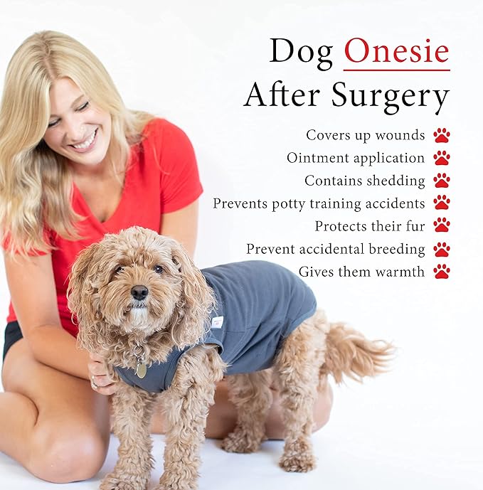 BellyGuard Dog Surgery Recovery Suit, Dog Onesie for Post-Op Care, Recovery Apparel for Female and Male, Surgical Body Cover for Canine Healing Support