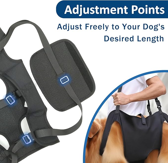 Dog Lift Harness, Full Body Adjustable Support Sling for Front and Back Legs, Mobility Aid for Dogs with Weak Legs, Recovery Needs, or Aging-Related Movement Issues (XL)
