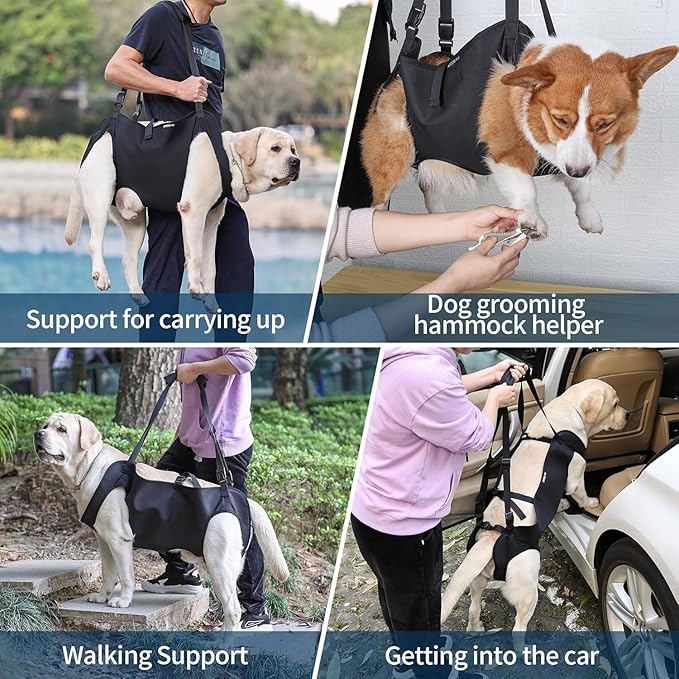 Dog Lift Harness, Full-Body Lifting Dog Harness Vest for Large Dogs, Ideal Mobility Aid for Senior, Injured, Disabled Dogs Needing Front and Rear Leg Support and Lifting Help (M)