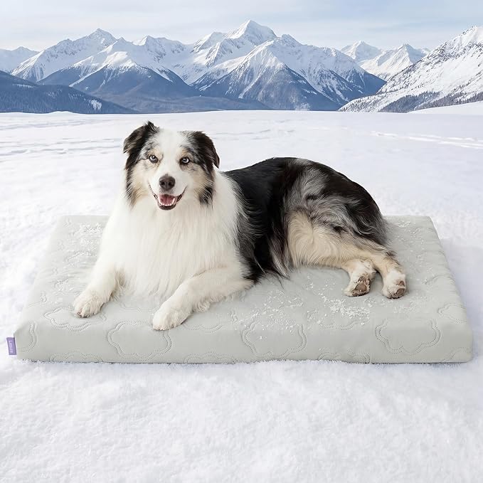 LE SURE Orthopedic Cooling Dog Bed, XL Q-Max>0.5 Cooling Mat with Removable Washable Cover, Breathable Egg Crate Foam Non-Slip Summer Pad for Extra Large Active/Senior/Long-Haired Pets, 41x27 Inch