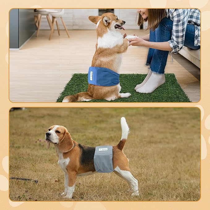 Teamoy Reusable Wrap Diapers for Male Dogs, Washable Puppy Belly Band Pack of 3 (L1, 16"-20" Waist, Black+ Gray+ Lake Blue)