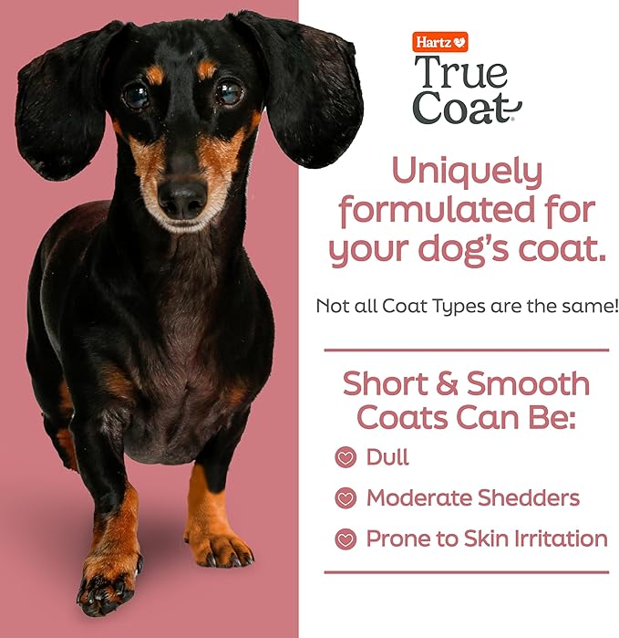 Hartz True Coat Short & Smooth Coat Specific Dog Shampoo, Soothes & Shines with Oat Milk, Coconut Oil & Vitamin E