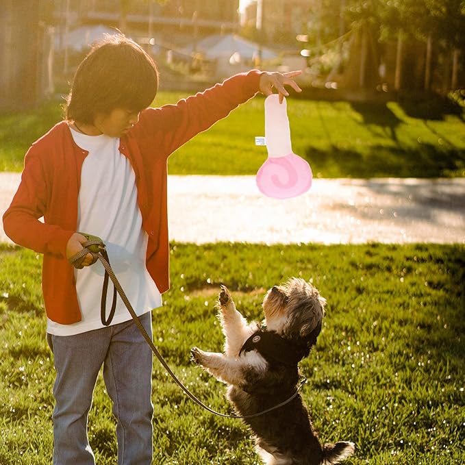 BESPORTBLE Dog Chewing Toy Funny Lollipop Shaped Squeaky for Pets Molar Training Chew Toy for Puppies to Boredom and Furniture Damage