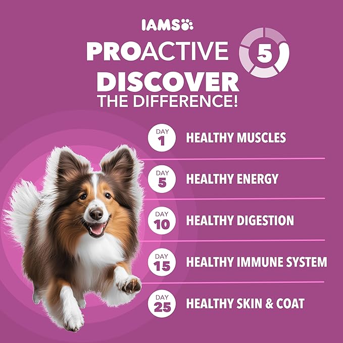 IAMS PROACTIVE HEALTH Mature Adult Dry Dog Food