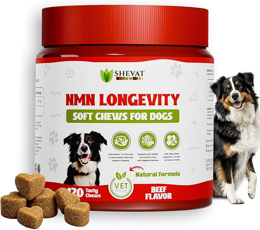 NMN Longevity Soft Chews for Dogs – Beef Flavored – Antioxidant Support for Joint Health, Immune Function, and Cellular Protection – 120 Count