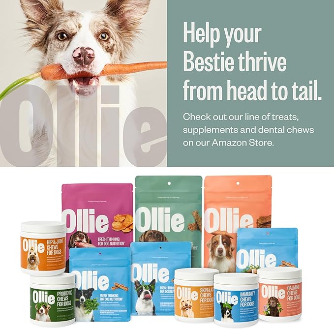 Ollie Chicken and Apple Jerky Dog Treats, 5 oz Pack of 3, All Natural, Healthy Snacks, Made with Real Meat, Human Grade, for Dogs