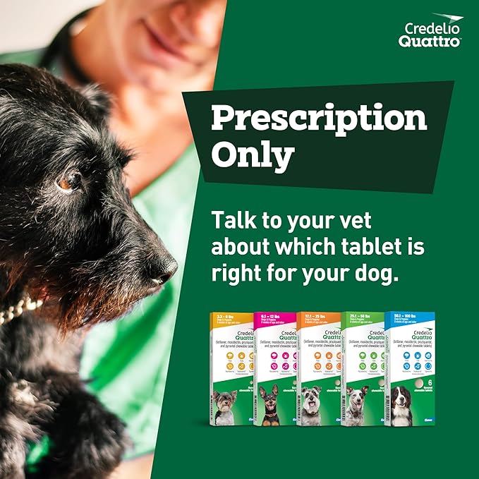 Credelio Quattro Dog Flea & Tick Treatment + Heartworm & Parasite Protection, 12.1-25 lbs (1 Chewable Tablet)