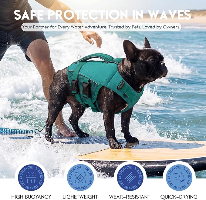 ASENKU Dog Life Jacket, High Floatation Dog Swimming Vest with Rescue Handles for Small Medium Large Dogs, Pet Safety Swimsuit Preserver for Pool Beach Boating (LakeGreen, 2XL)