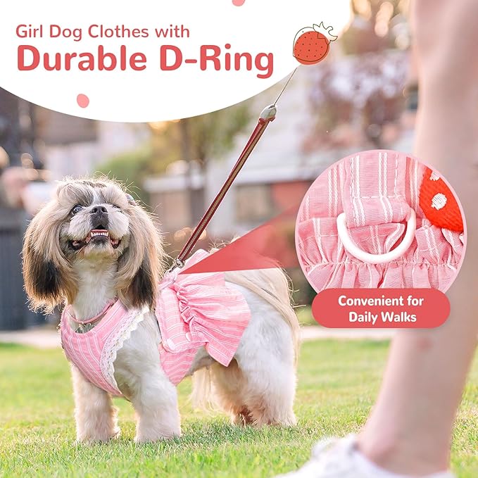 Cute Strawberry Small Dog Dress with D-Ring Princess Lace Girl Female Dog Clothes Spring Summer Breathable Mesh Pet Puppy Cats Harness Dress for Shih Tzu Yorkies Chihuahua(Pink,X-Large)