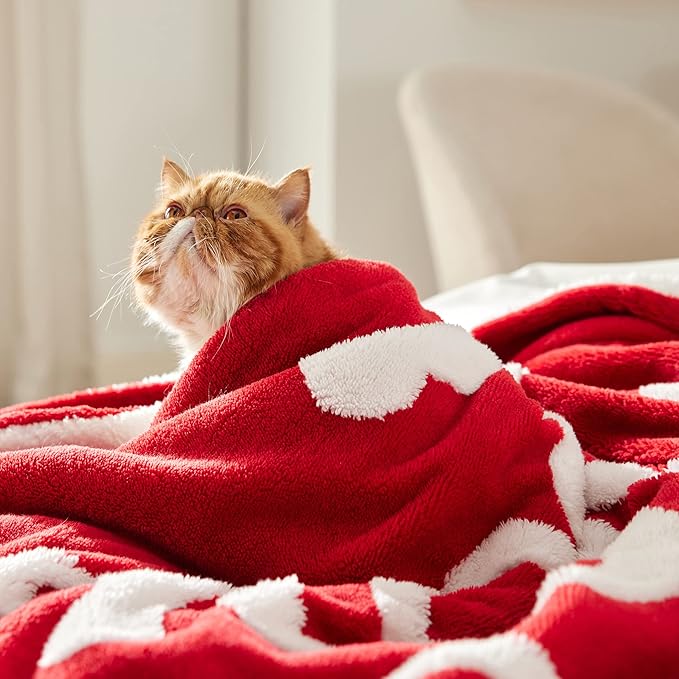 Bedsure Valentines Day Throw Blanket - Soft and Warm Sherpa Heart Throws Valentines Day Gifts for Him and Her, I Love You Red 50"x60"
