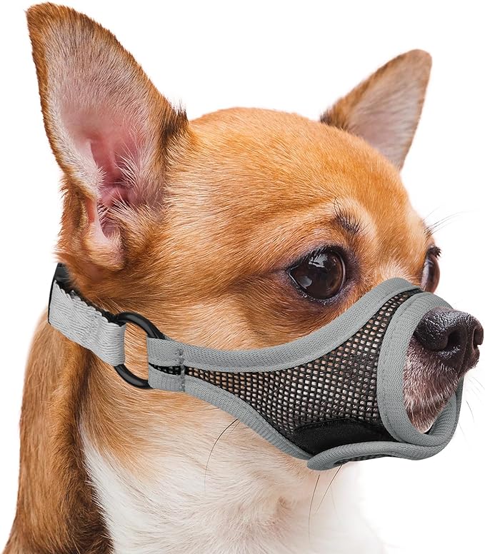 Mayerzon Short Snout Dog Muzzle, Mesh Muzzle for Small Dogs Chihuahua Yorkshire Shih Tzu, Prevent Fierce Barking Biting, for Grooming Vet Visits, Adjustable Fit, Allow to Pant Drink (Light Grey, XXS)