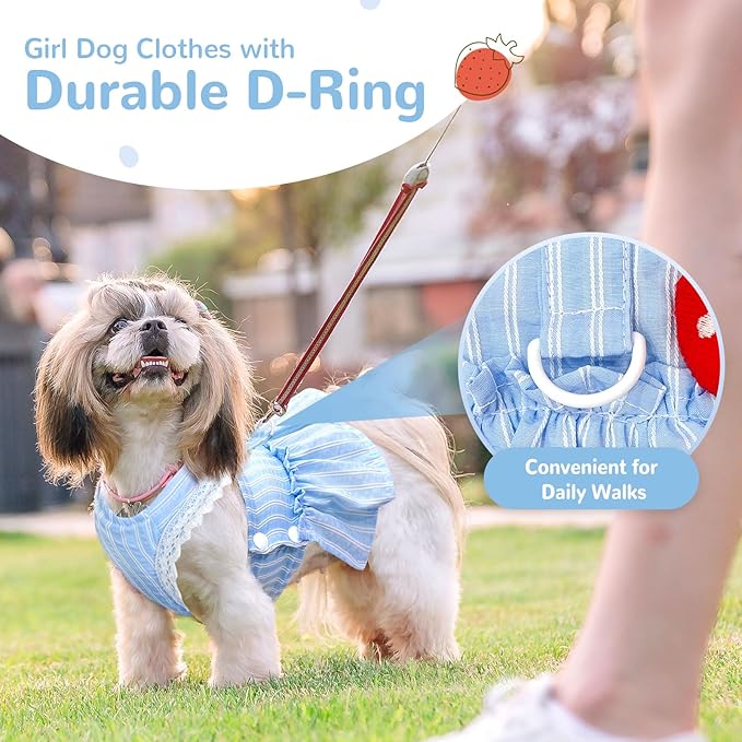 Cute Strawberry Small Dog Dress with D-Ring Princess Lace Girl Female Dog Clothes Spring Summer Breathable Mesh Pet Puppy Cats Harness Dress for Shih Tzu Yorkies Chihuahua(Blue,XX-Large)