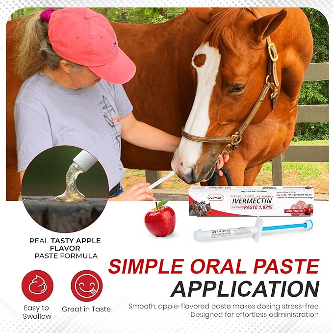 Ivermectin Horse Paste 1.87% Dewormer 6.08g Dose-Effective Appled Flavored Ivermectin Paste for Equine Care,Horse Deworming Paste -for Horses Up to 1250 lb (1 Pack)