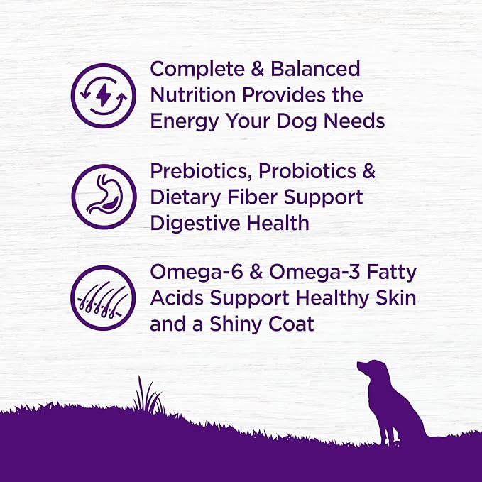 Wellness Complete Health Dry Dog Food, Wholesome Grains, Natural, Lamb & Barley, (5-Pound Bag)