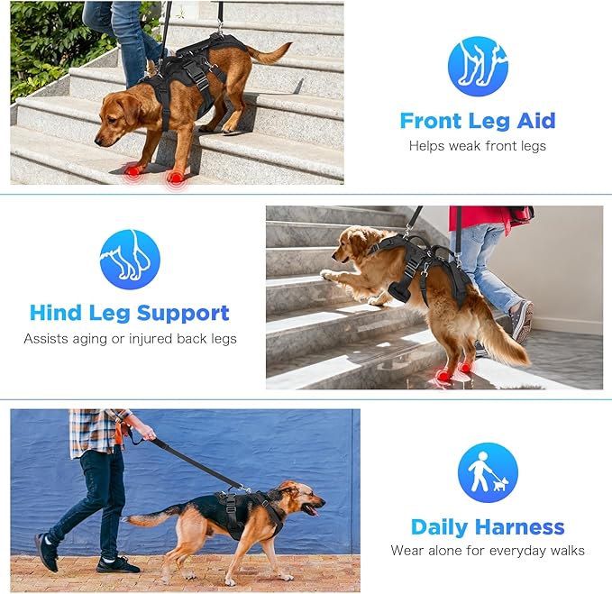 Dog Lift Harness, Full Body Support & Recovery Sling with Rear Leg Strap – Pee-Able Design for Large/Medium Dogs, Mobility Aid Harness for Senior, Injured, Disabled, Arthritic & Post-Surgery Pets (XL)