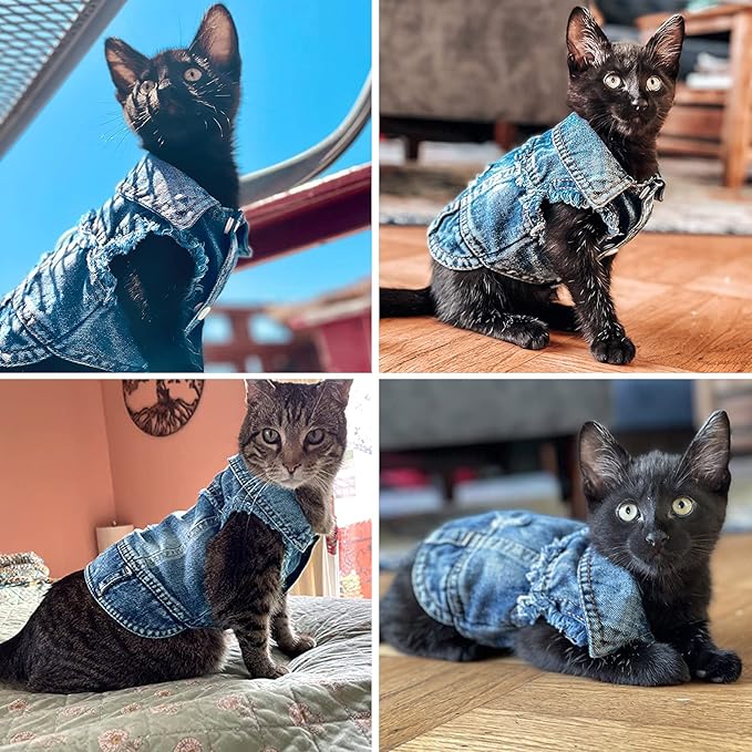 Jean Jacket, Blue Denim Lapel Vest Coat T-Shirt Costume for Small Medium Dogs Cats, Cute Girl Boy Puppy Clothes, Comfort and Cool Apparel, Machine Washable Outfits (XXL, Blue)