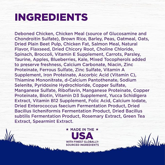 Wellness Complete Health Dry Dog Food, Large Breed, Wholesome Grains, Natural, Chicken & Brown Rice Recipe, (30-Pound Bag)