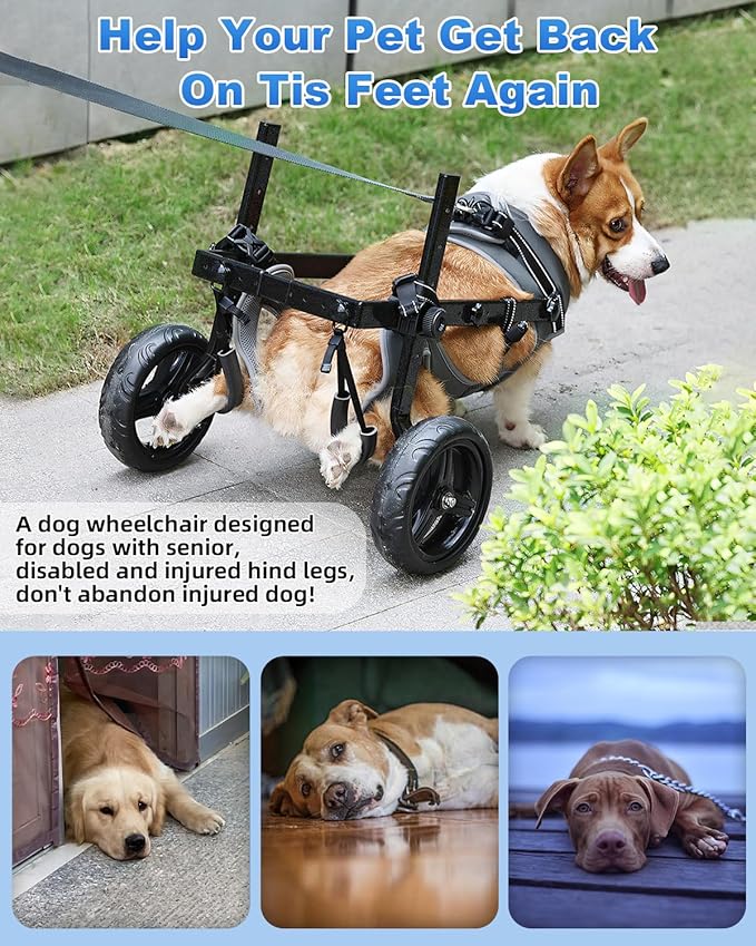 Large Dog Wheelchair for Hind Legs-Durable All-Terrain Wheels, Heavy Duty Aluminum Frame, Comfortable Breathable Mesh for Dogs, Hip Support System, Restores Mobility for Arthritis & Injuries