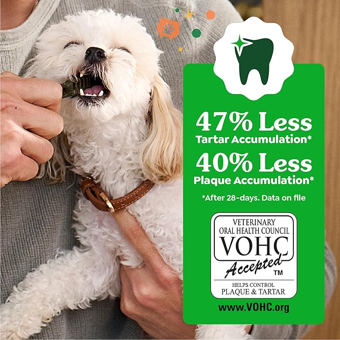 Greenies Veterinarian-Recommended, Limited-Edition Natural Dental Dog Treats Regular Size, Pumpkin Spice Flavor, 12 oz. Pack, 12 Count