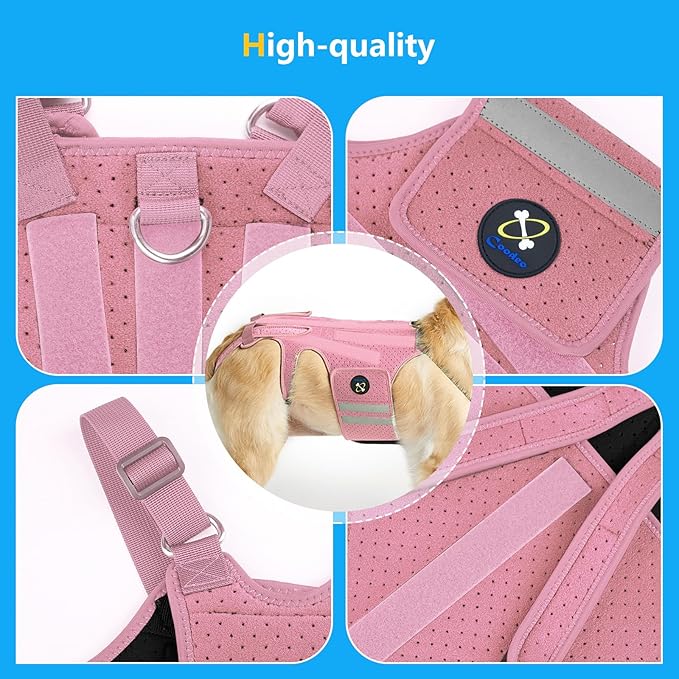 Coodeo Dog Back Brace for Dogs Arthritis, Pet Back Bracer for IVDD, Back Protector Helps Pain Relief, Surgical Recovery and Rehabilitation, Dogs Back Disease Prevention. (Pink,Large)
