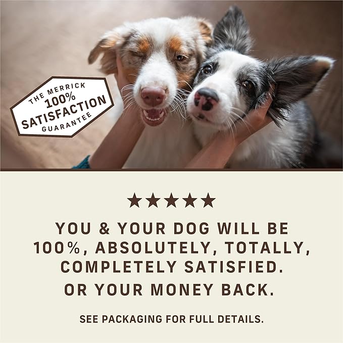 Merrick Power Bites Natural Soft And Chewy Real Meat Dog Treats, Grain Free Snack With Real Salmon Recipe - 6 oz. Bag