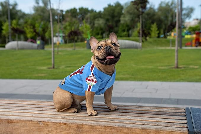 MLB Philadelphia Phillies Vintage Throwback Jersey for Dogs & Cats in Team Color. Comfortable Polycotton Material, Small
