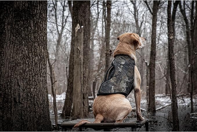 Momarsh Final Stand Dog Adjustable Training Platform & Storage Panel | Hunting Stand | Elevated Pet System for Place, Agility & Steadiness | Dog Trainer System | Mesh Bottom Mud Feet | 150lb Capacity