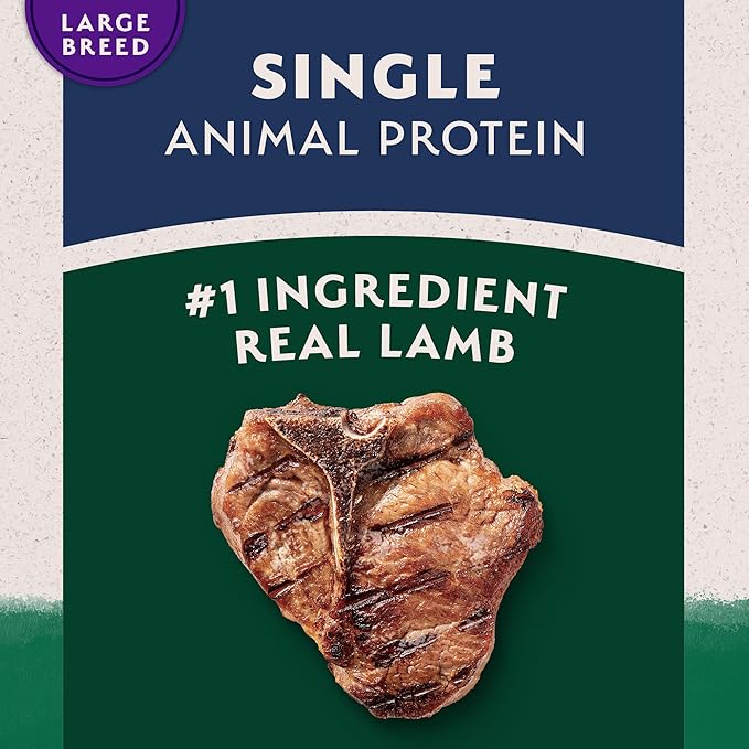 Natural Balance Limited Ingredient Large Breed Adult Dry Dog Food with Healthy Grains, Lamb & Brown Rice Recipe, 26 Pound (Pack of 1)