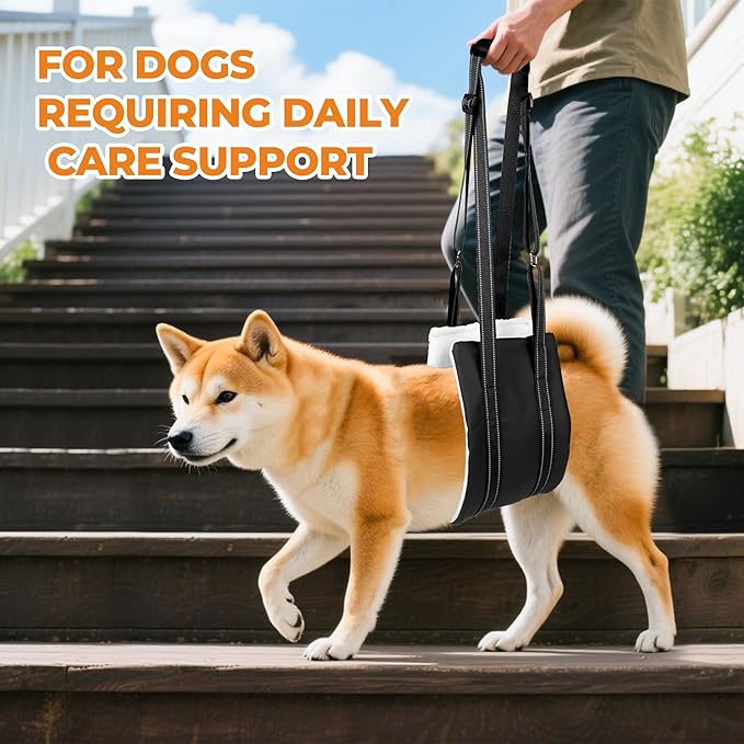Dog Lift Harness, Adjustable Comfortable Dog Sling with Handle for Hind Leg Support Soft Lift Support and Rehab Harness for Weak Rear Legs, Helps Senior, Injured, Disabled and After ACL Surgery Dogs L