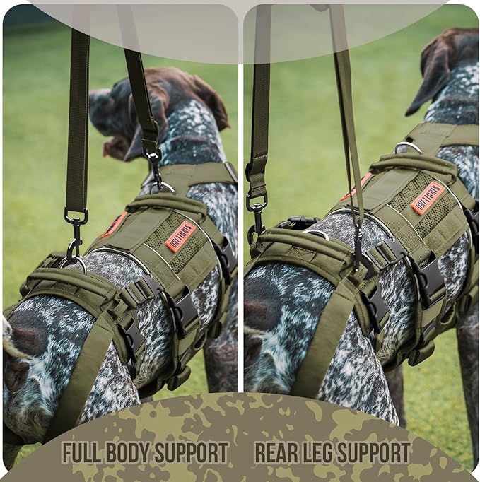 OneTigris Breathable Dog Lift Harness for Medium Sized Dogs, Dog Sing for Large Dogs Hind Leg Support, Hip Support Brace Front Leg Vrace (Green, X-Large)
