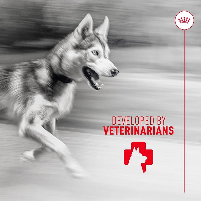 Royal Canin Joint Dog Supplement Soft Chews for Adult Dogs, 60 Count (Pack of 2)