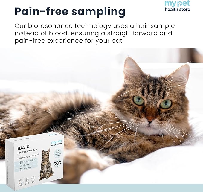 Allergen Sensitivity Test - Home Cat Allergen Test | 300 Items | Fast 3-5 Day Results | Gentle Fur Sampling | Comprehensive Food & Environment Analysis | Suitable for All Cats