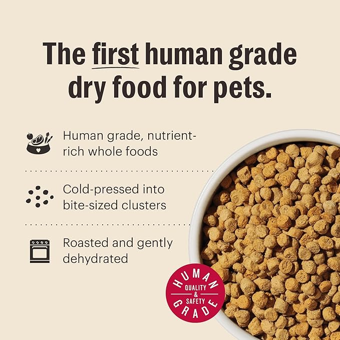 The Honest Kitchen Human Grade Whole Food Clusters Grain Free Turkey & Chicken Dry Cat Food, 10 lb Bag