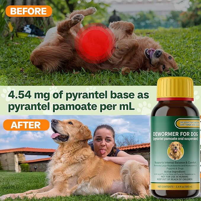 Canine Anthelmintic, Pyrantel Pamoate for Dogs, Intestinal Balance & Pet Wellness, 3.4 fl oz (100 mL), NDC