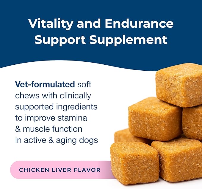 PetAg Dyne Soft Chews, Endurance & Vitality Supplement - Vet-Formulated for Aging & Active Dogs - Fuels Performance, Stamina & Recovery - 60 Chicken Liver Flavor Chews