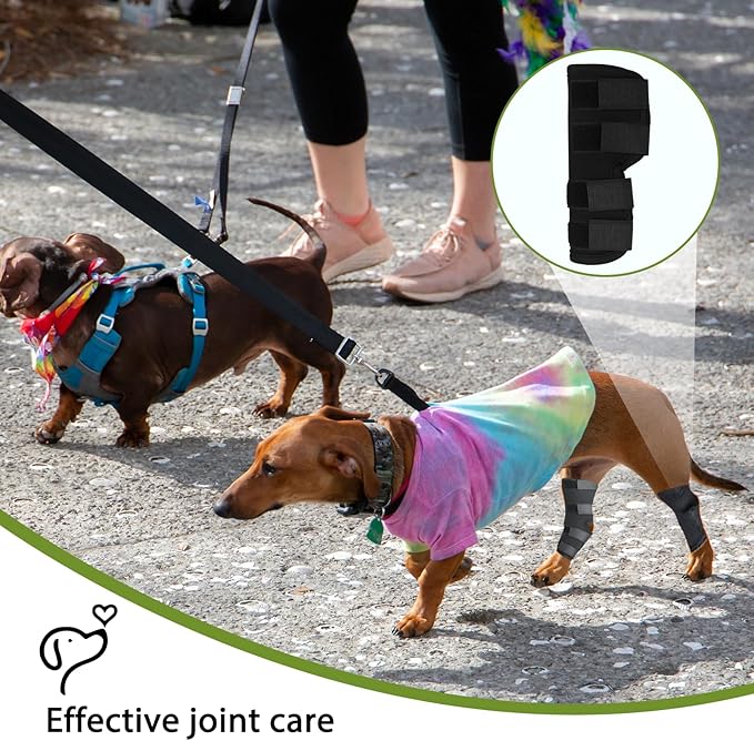 Dog Leg Braces for Rear Leg, Adjustable Dog Leg Sleeve Added Mobility Safety for Active Aging Dogs, Knee Support Straps for Outdoor Adventures Daliy Use Enhanced Stability (S)