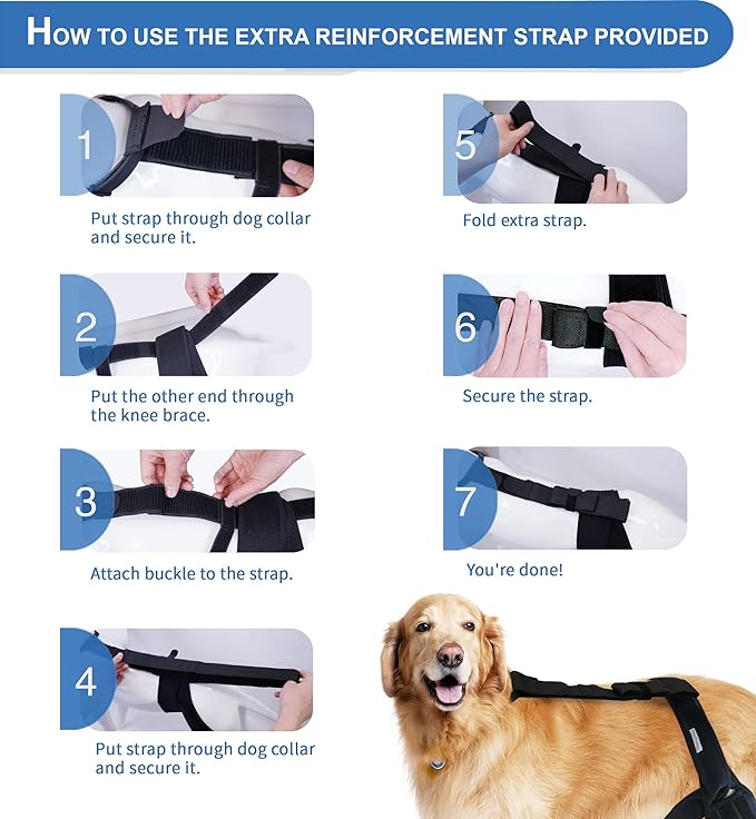 Dog Knee Brace for Hind & Rear Legs – Canine Leg Support – Adjustable, Durable, Black, Size M