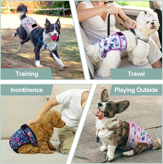 Female Dog Diapers - Reusable Diapers for Doggie in Heat - Highly Absorbent for Pet Incontinence with Adjustable Snaps (Pack of 3) Rose, XL