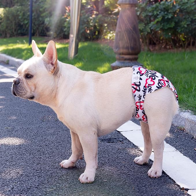 CuteBone Washable Dog Diapers Female No Tail Hole 3 Pack Reusable Doggie Period Training Pants for Docked-Tail Frenchie French Bulldog Boston Terrier Without Tail WWD03M