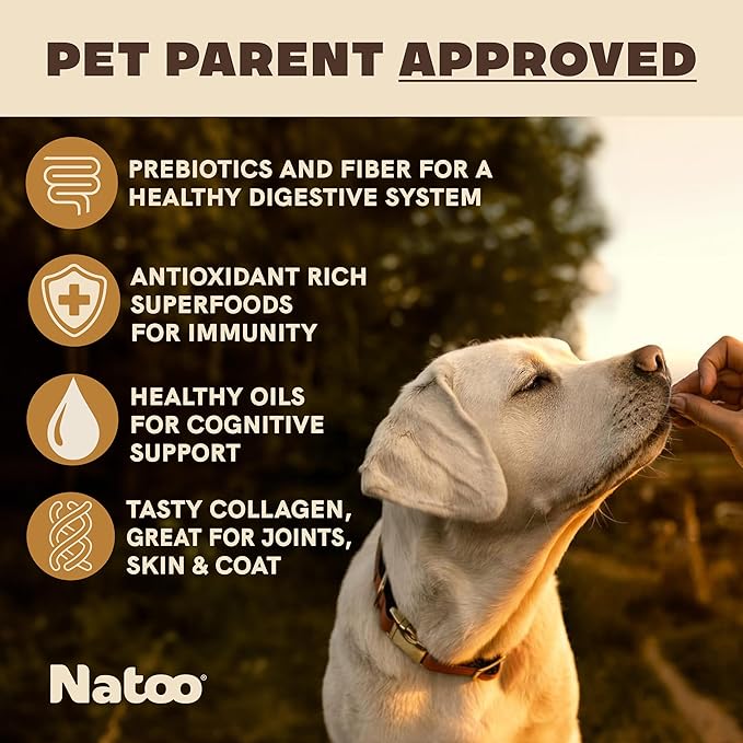 NATOO Natural Dog Biscuits for Small Dogs – Grain-Free Peanut Butter Treats with Collagen, Prebiotics, Fiber & Omega 6 – Support Digestion, Skin, Coat, Joints & Immunity – Allergy-Friendly, 8 oz