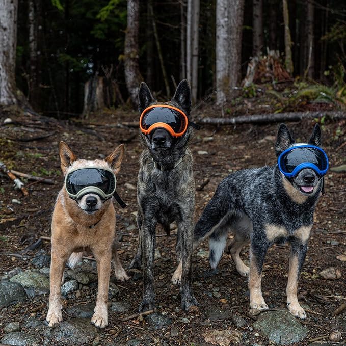 Rex Specs V2 Dog Goggles with UV Eye Protection Sunglasses, for Large, Medium, and Small dog breeds (Balkan Blue, Small)
