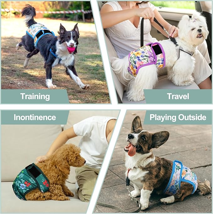 Dog Diapers Female- Reusable Diapers for Doggie in Heat - Highly Absorbent for Pet Incontinence with Adjustable Snaps Green, XXL