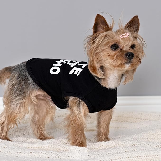 Fitwarm Cute But Psycho Dog Shirt, Summer Clothes for Small Dogs Boy Girl, Funny Pet Outfit, Black, White, Large