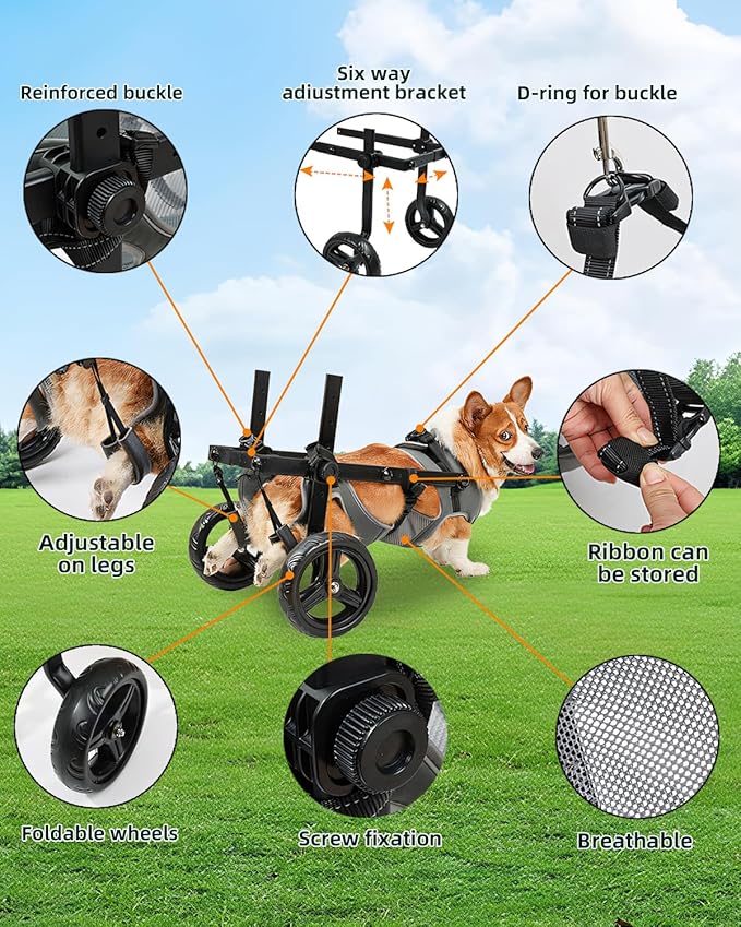 Large Dog Wheelchair for Hind Legs-Durable All-Terrain Wheels, Heavy Duty Aluminum Frame, Comfortable Breathable Mesh for Dogs, Hip Support System, Restores Mobility for Arthritis & Injuries
