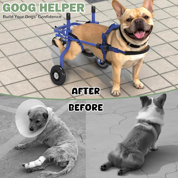 Dog Wheelchair for Back Legs,Adjustable Dog Carts with Wheels for Disabled Hind Legs, Bike Trailer Type Mobility Aid for Disabled Dogs to Regain Independence