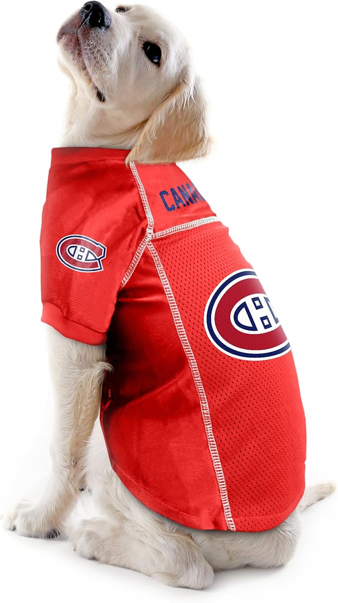 Littlearth NHL Detroit Red Wings Basic Pet Jersey, Team Color