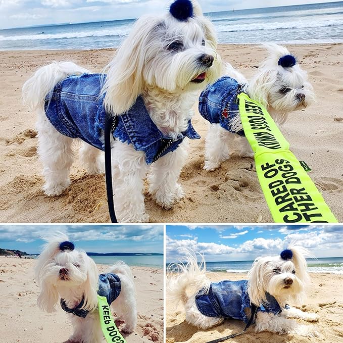 Dog Jean Jacket, Blue Denim Lapel Vest Coat T-Shirt Costume Cute Girl Boy Puppy Clothes, Comfort and Cool Apparel, for Small Medium Dogs Cats, Machine Washable Outfits (Small, Blue)