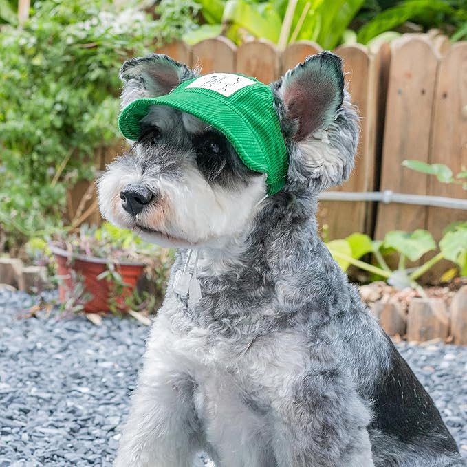 Pet Dog Baseball Cap, Cat Hat, Cat Dog Sun Cap with Ear Holes, Adjustable Puppy Outdoor Sun Hat (Green, X-Small)