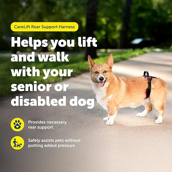 PetSafe CareLift Rear Support Harness - Senior & Disabled Dog Rear Mobility Support - Easy-Fitting, Breathable Belly Straps with Lifting Aid Handle - For Small Dogs 7-35 lb